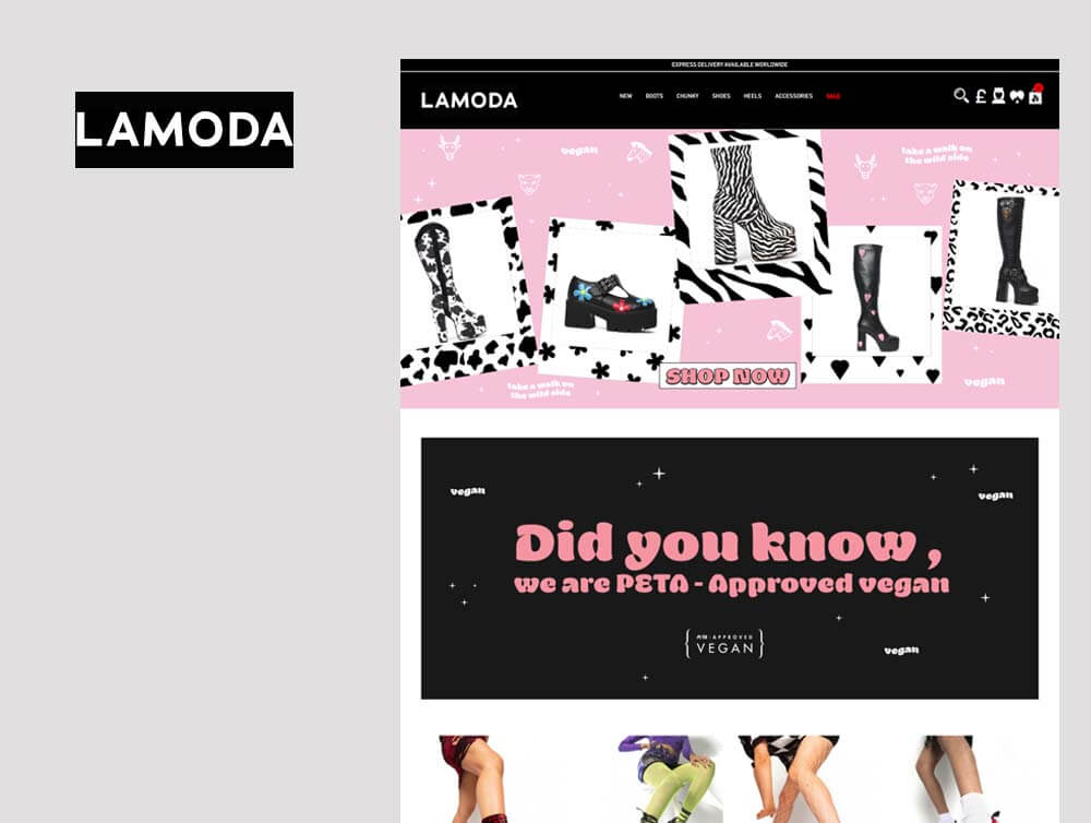 website India Soft Labs